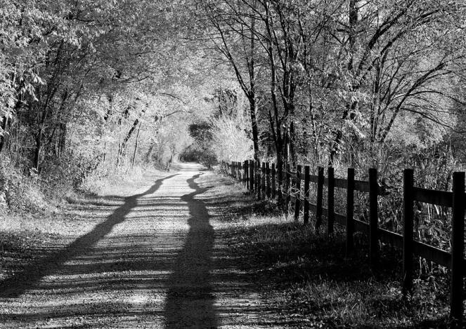 country-road-black-and-white-anne-barkley